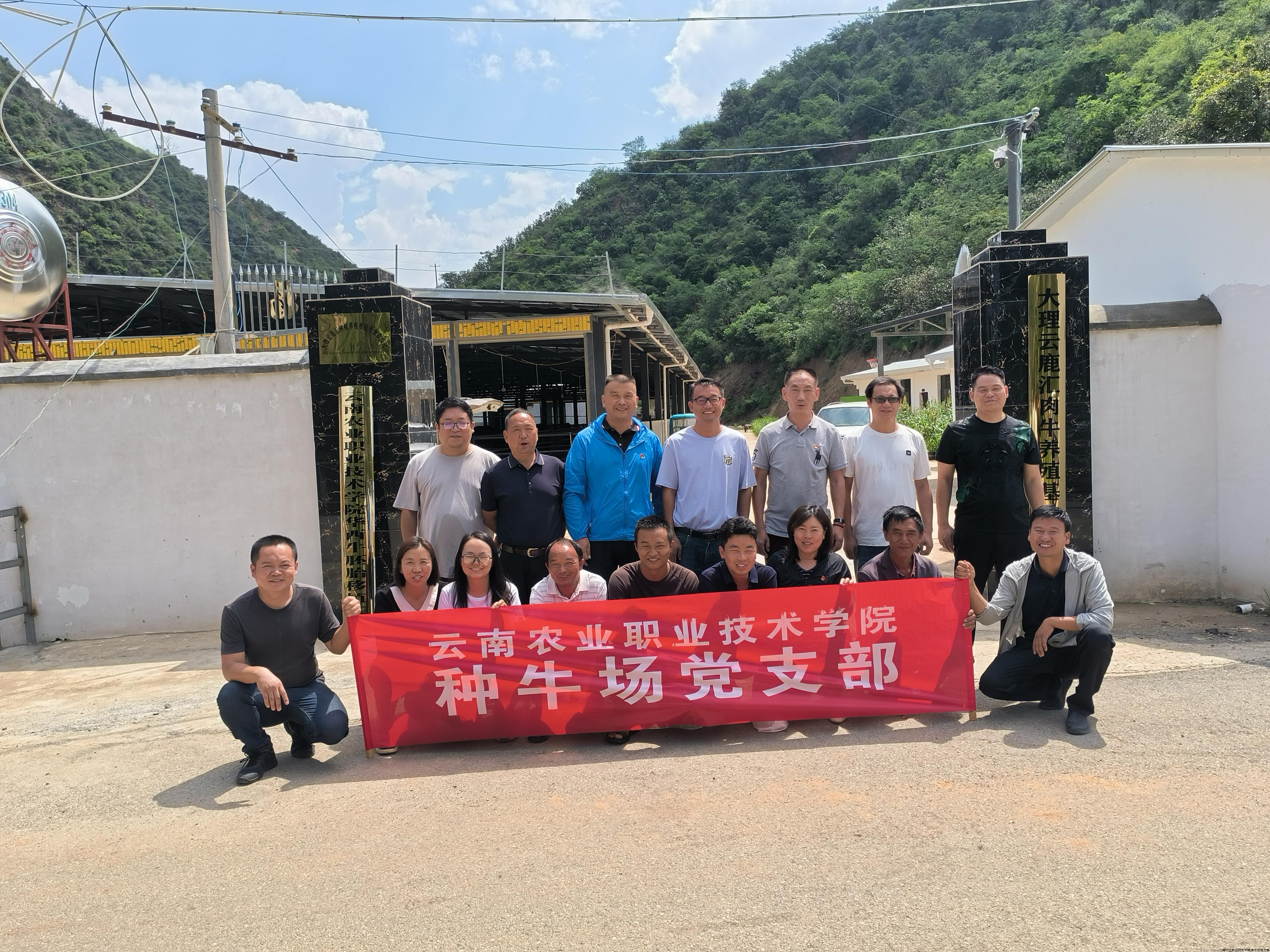 在大理云鹿汇肉牛养殖基地考察(一).jpg 在大理云鹿汇肉牛养殖基地考察(一).jpg