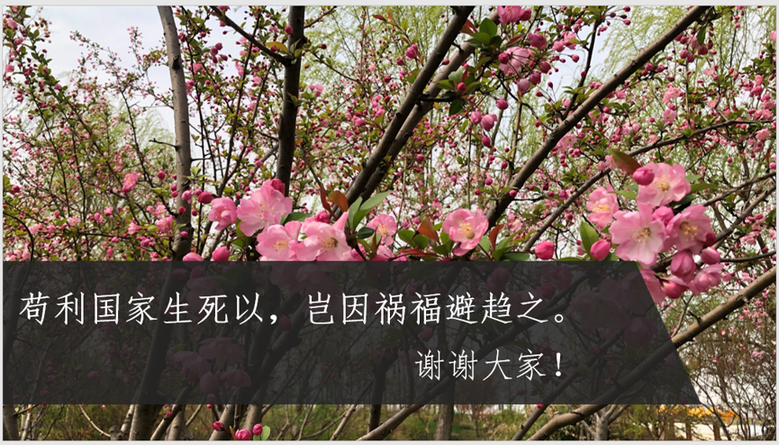 刘珊7.png 刘珊7.png