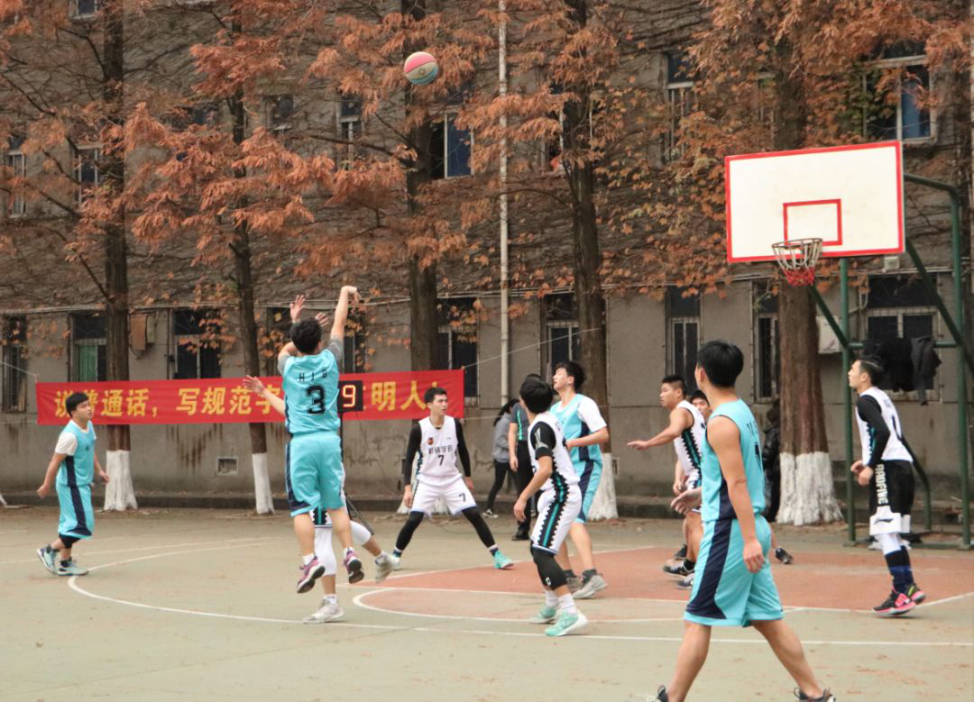 图片5.png 图片5.png