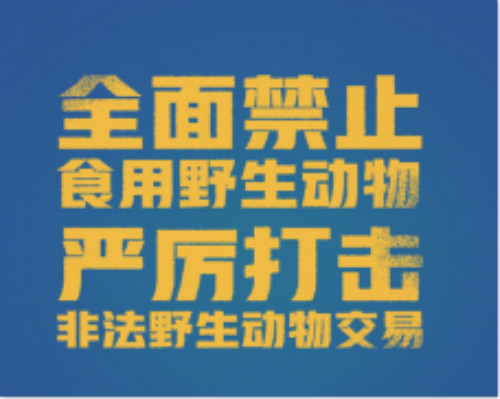 图七  全面禁止食用野生动物.jpg