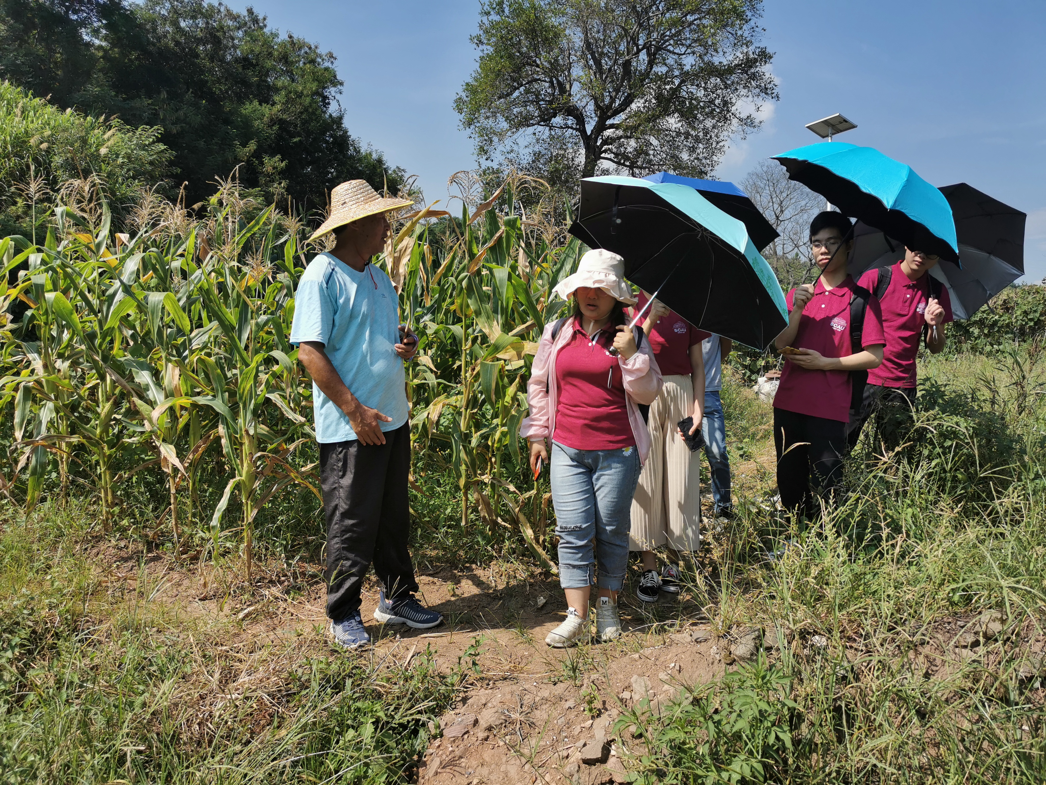 3.在田地里寻找滩头庙的遗迹.jpg 3.在田地里寻找滩头庙的遗迹.jpg