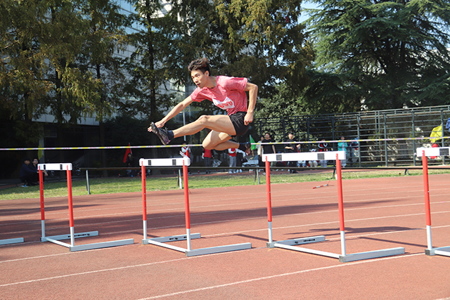 第三十一届运动会-运动会现场.jpg 第三十一届运动会-运动会现场.jpg