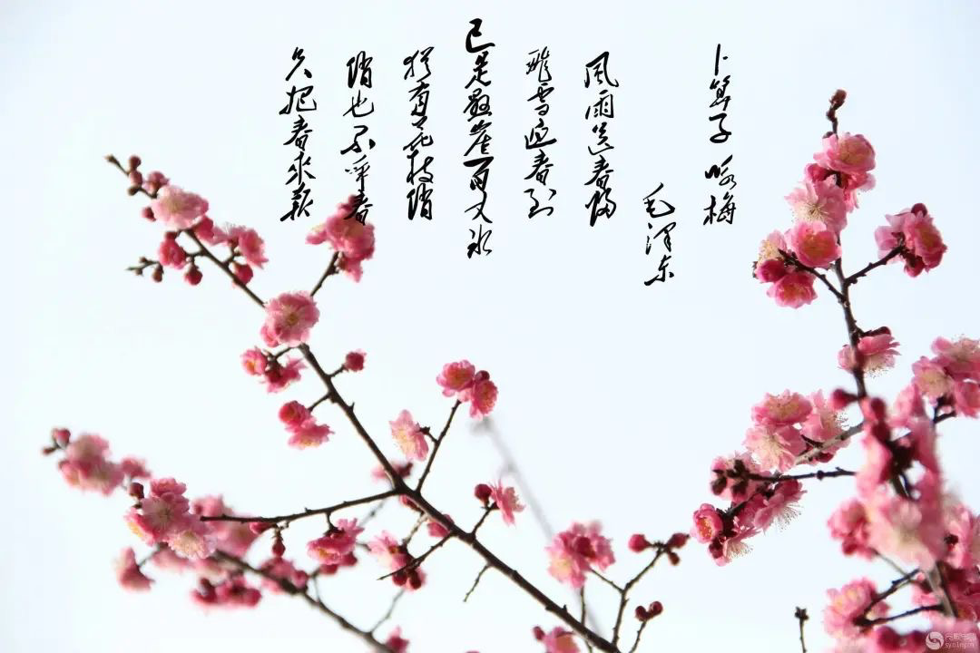 微信图片_20210226134131.png