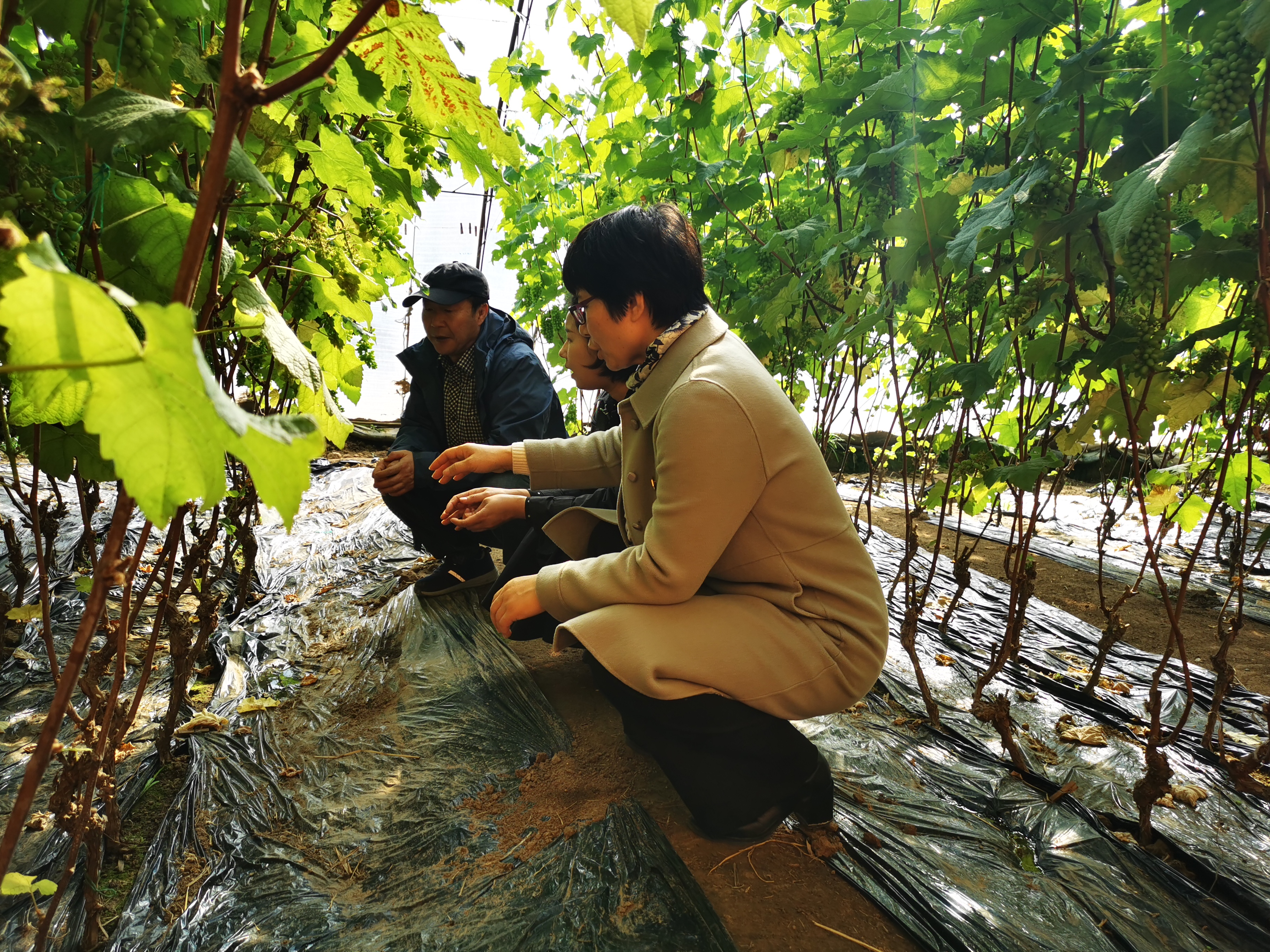 IMG_20210316_143002.jpg IMG_20210316_143002.jpg