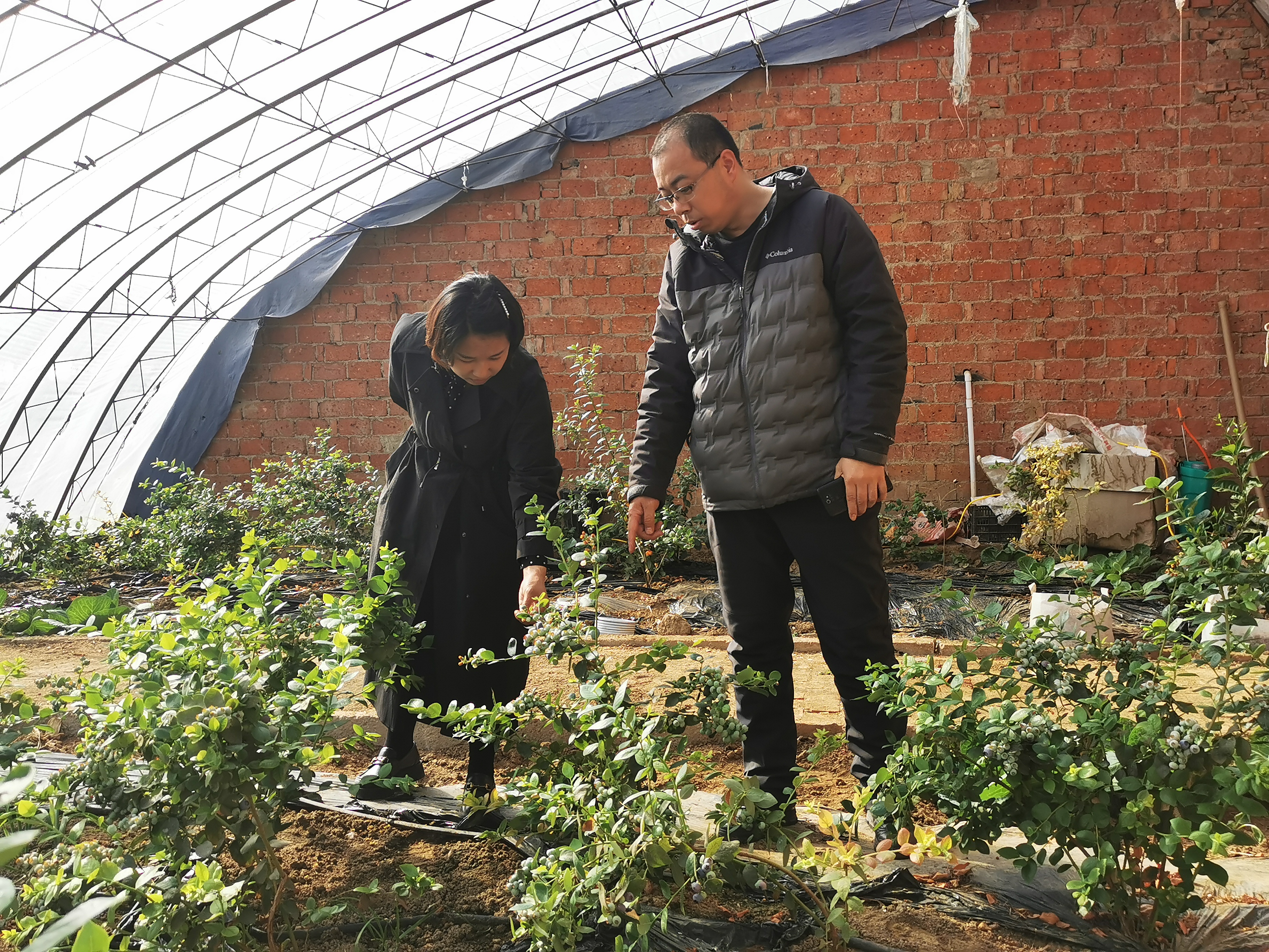 IMG_20210316_144557.jpg IMG_20210316_144557.jpg