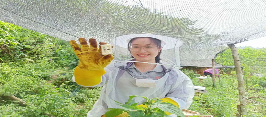 图片22.png 图片22.png