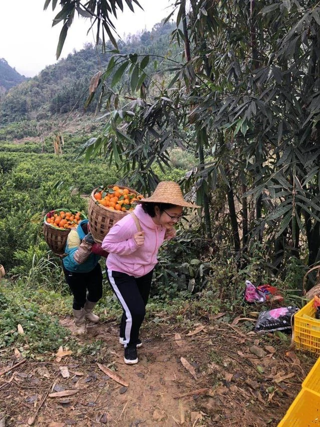 图片24.png 图片24.png