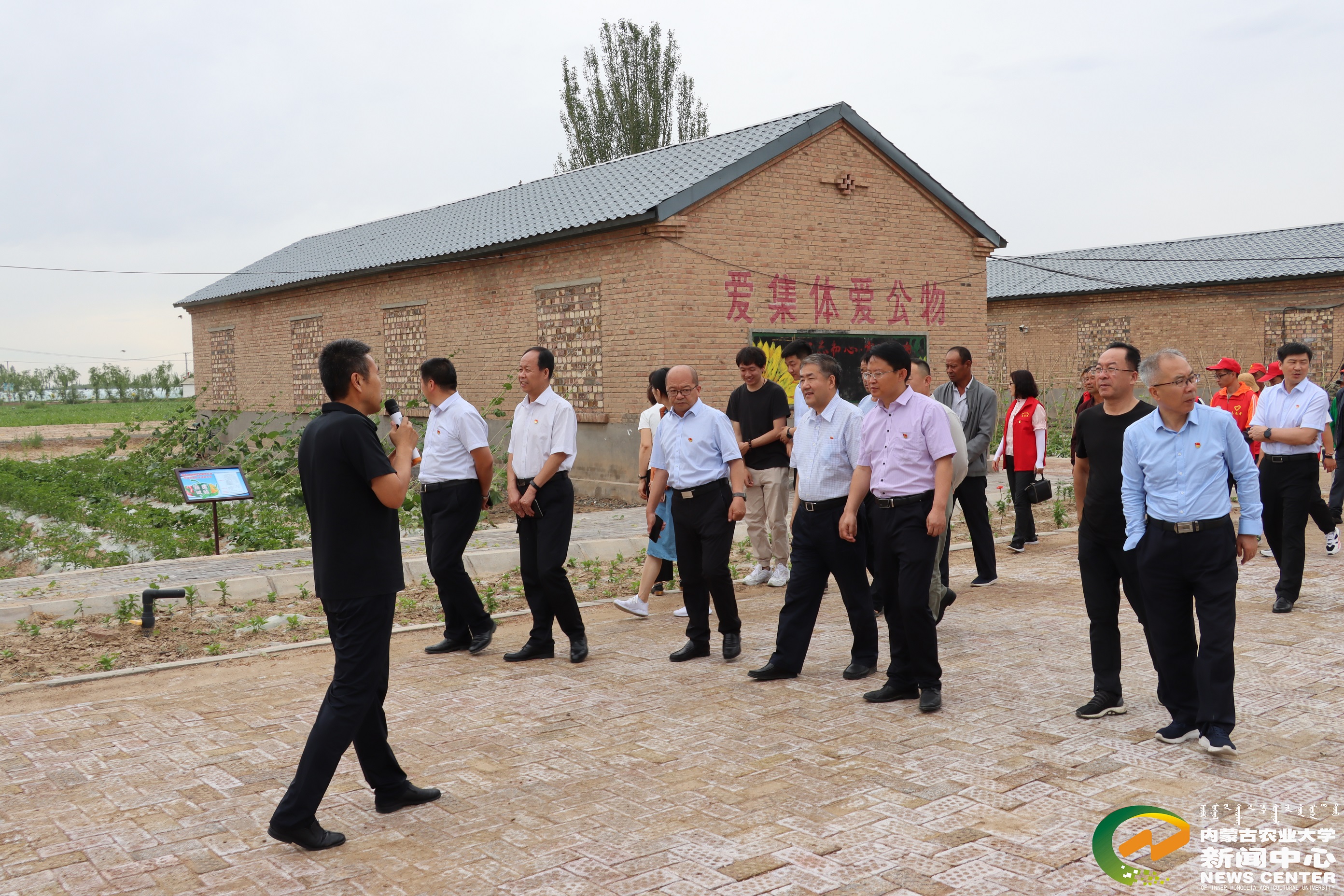 参观科技小院校地党建联盟助推“乡村振兴”建成成果.jpg 参观科技小院校地党建联盟助推“乡村振兴”建成成果.jpg