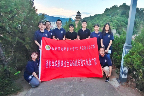 e6faddfe45804ed39cb4339ead784321.png 图片6.png