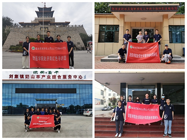 83db6415f6c94aca86380a08823df685.jpg 暑期三下乡队伍_副本.jpg