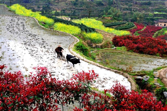 春耕.jpeg 春耕.jpeg