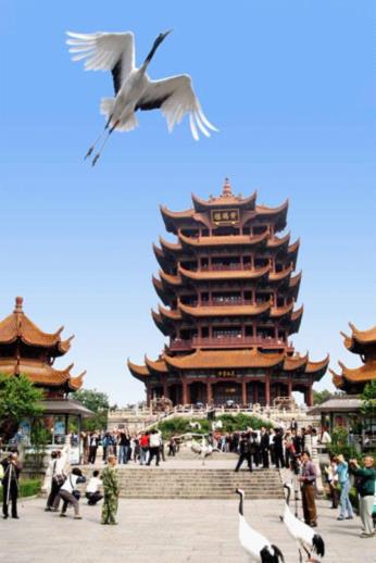 图片6.jpg 图片6.jpg