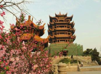 图片11.jpg 图片11.jpg