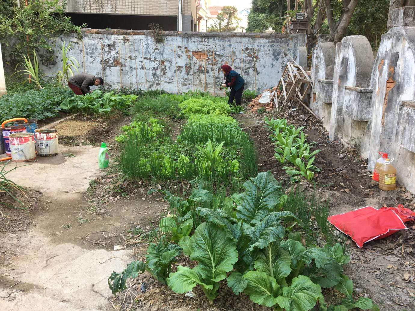 图片2.png 图片2.png