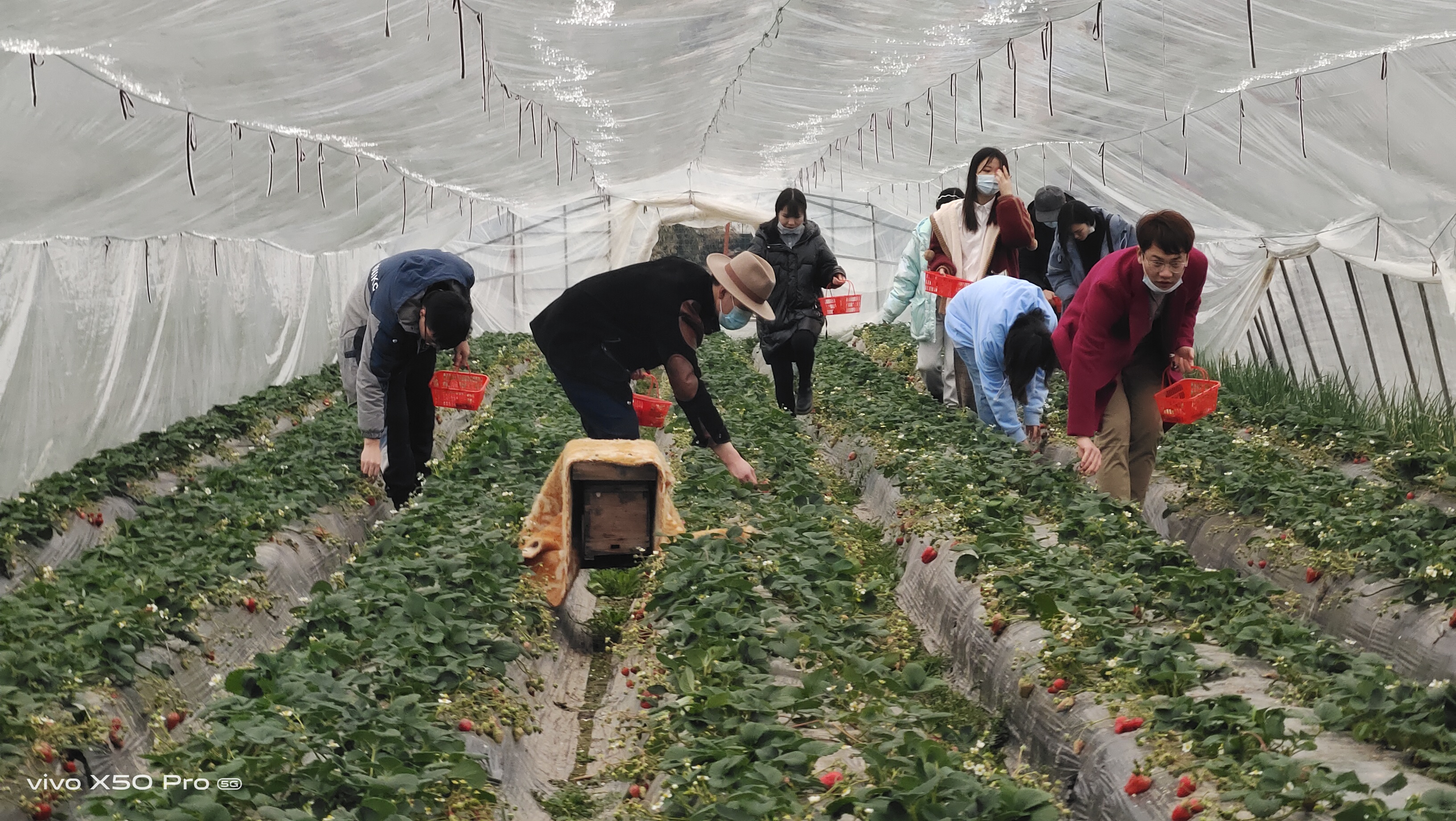 微信图片_20220301070755.jpg 微信图片_20220301070755.jpg