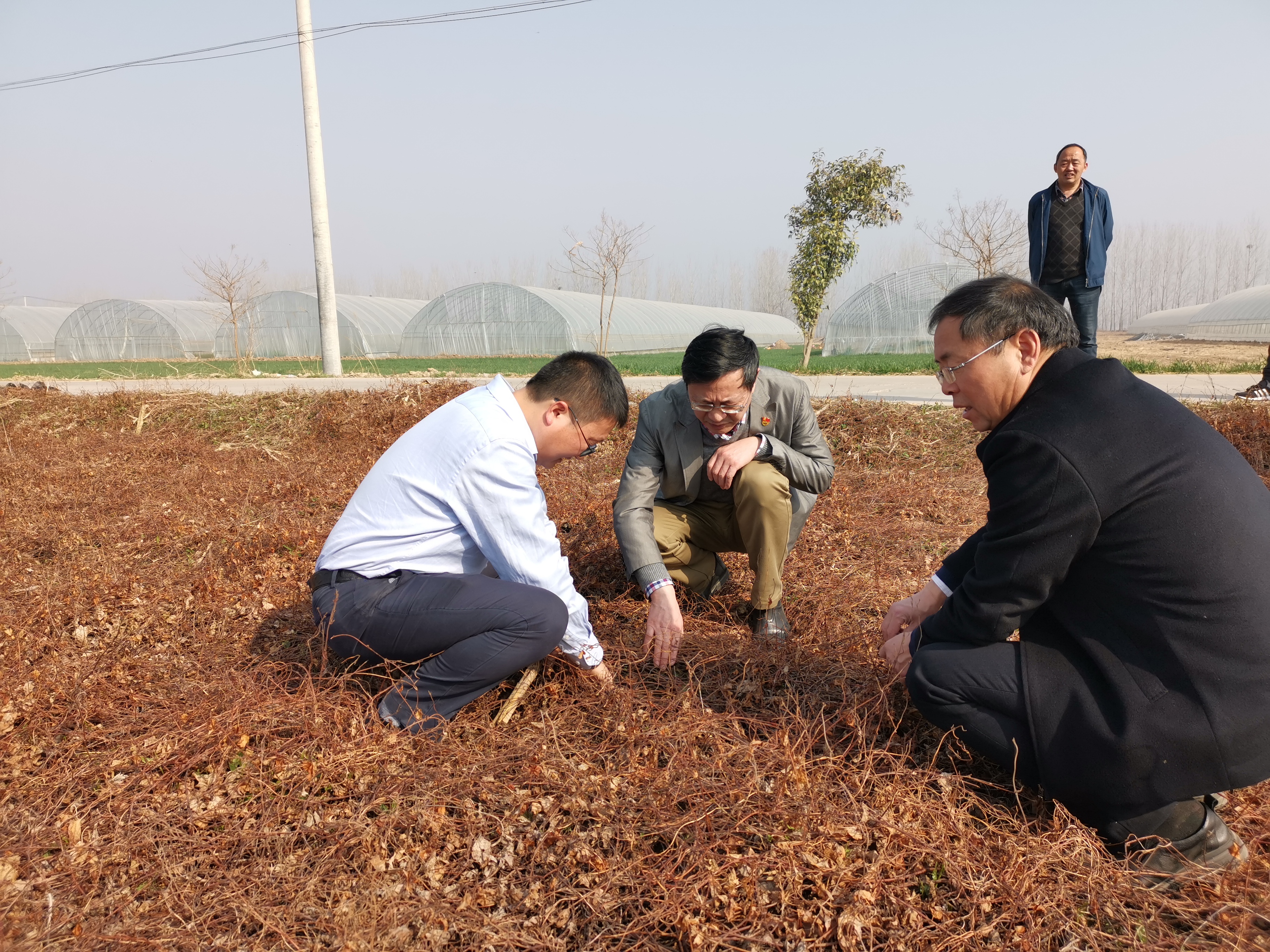 药王村2.jpg 药王村2.jpg