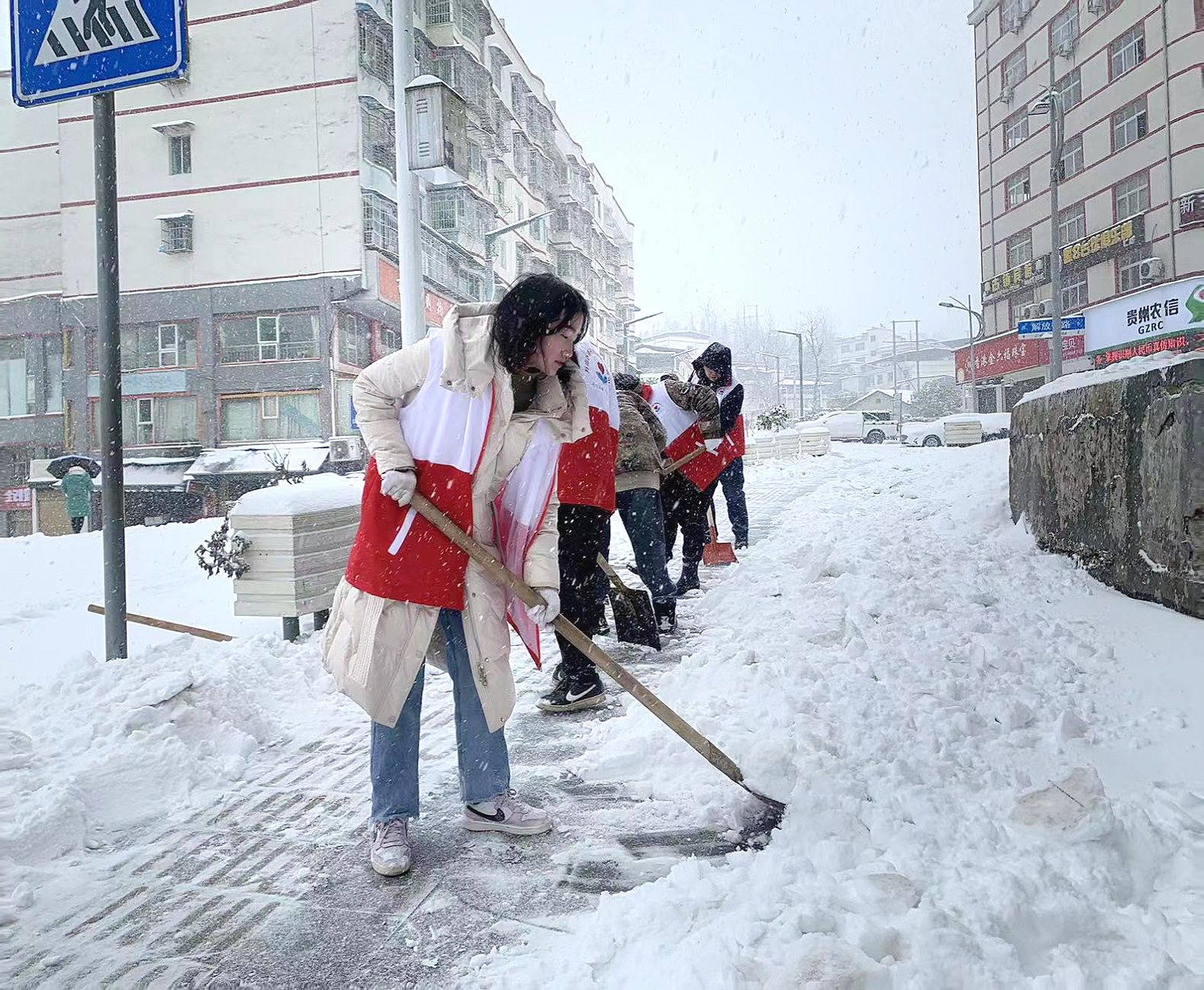 杨晓云2.png 杨晓云2.png