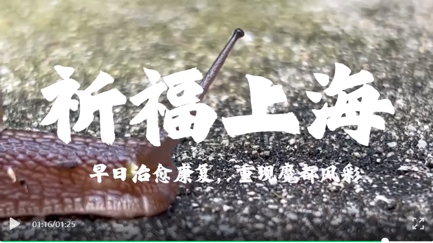 图7 彭波老师微视频创作《正常生活》.png