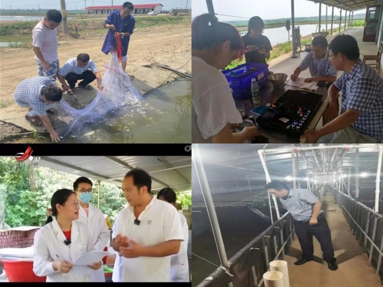 图片2.jpg 图片2.jpg