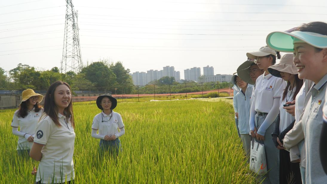 图片2.png 图片2.png