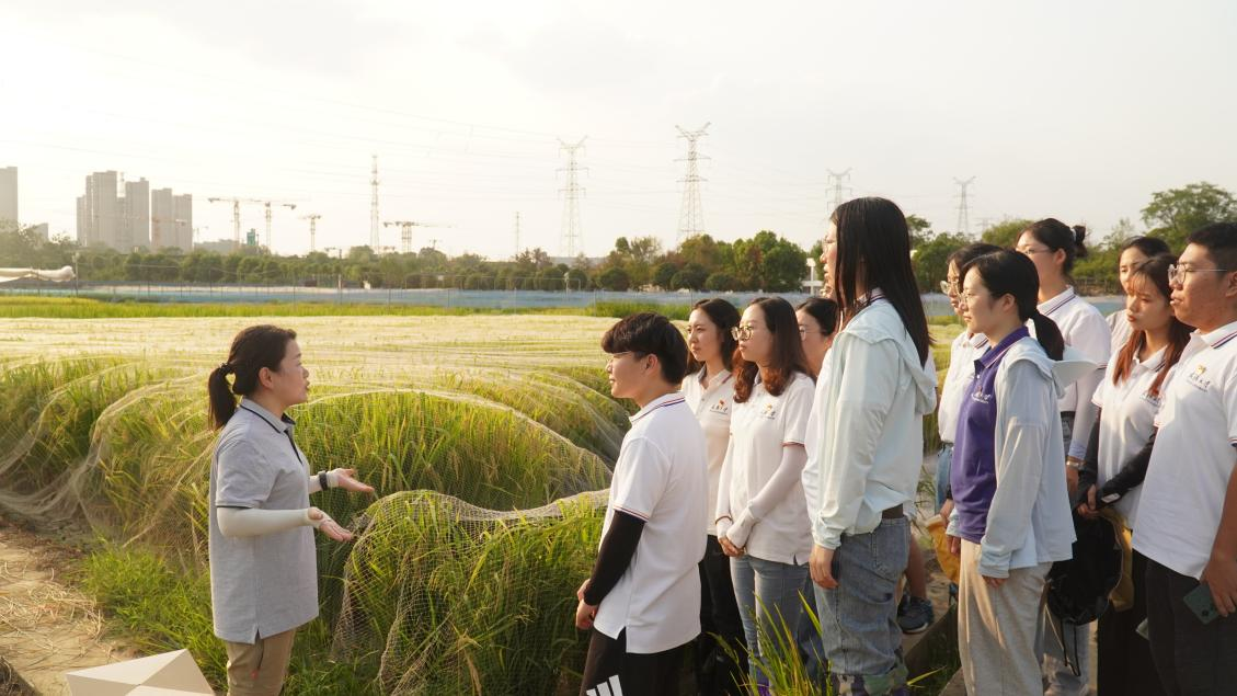 图片3.png 图片3.png