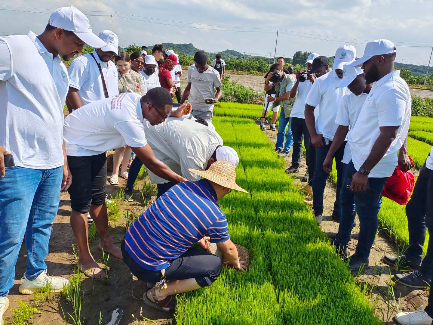 微信图片_20220614162916.jpg 微信图片_20220614162916.jpg