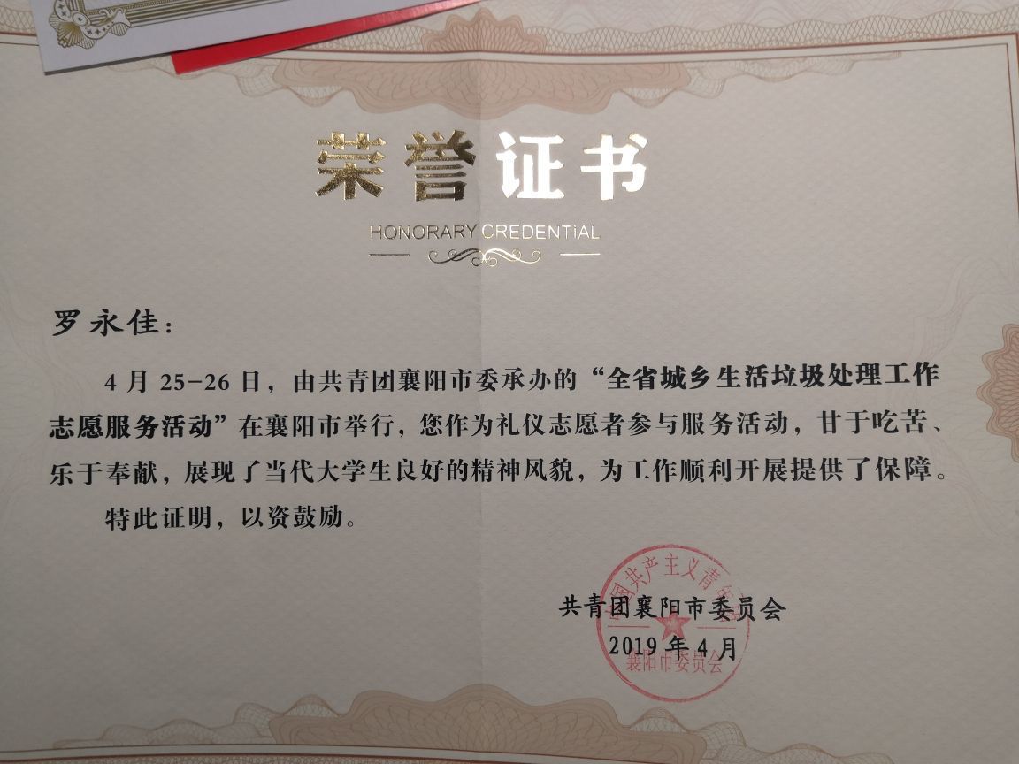 学生参加襄阳市志愿者活动