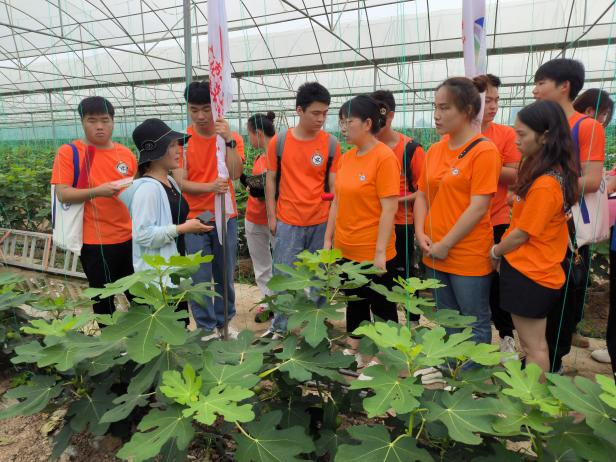 图片8.png 图片8.png