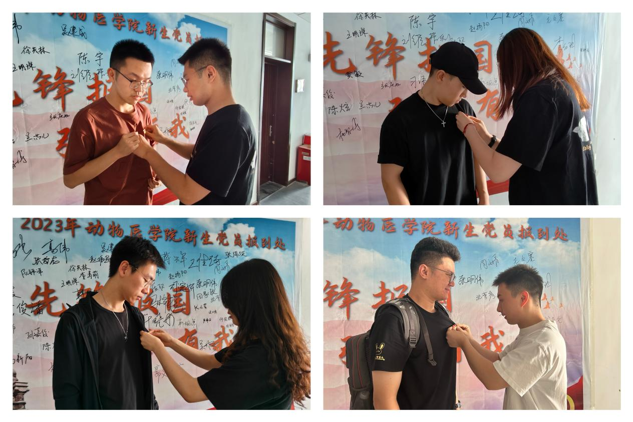 图片14.png