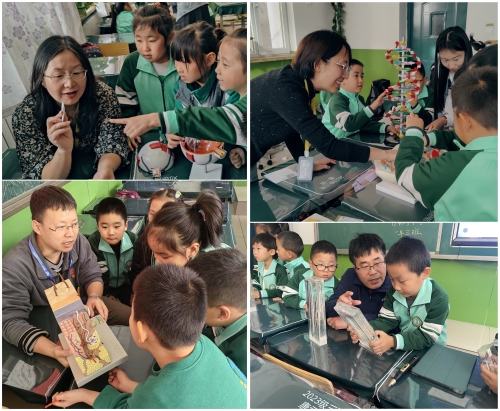 图1-教工党员为小学生讲解皮肤、寄生虫、眼球、细胞结构知识.jpg