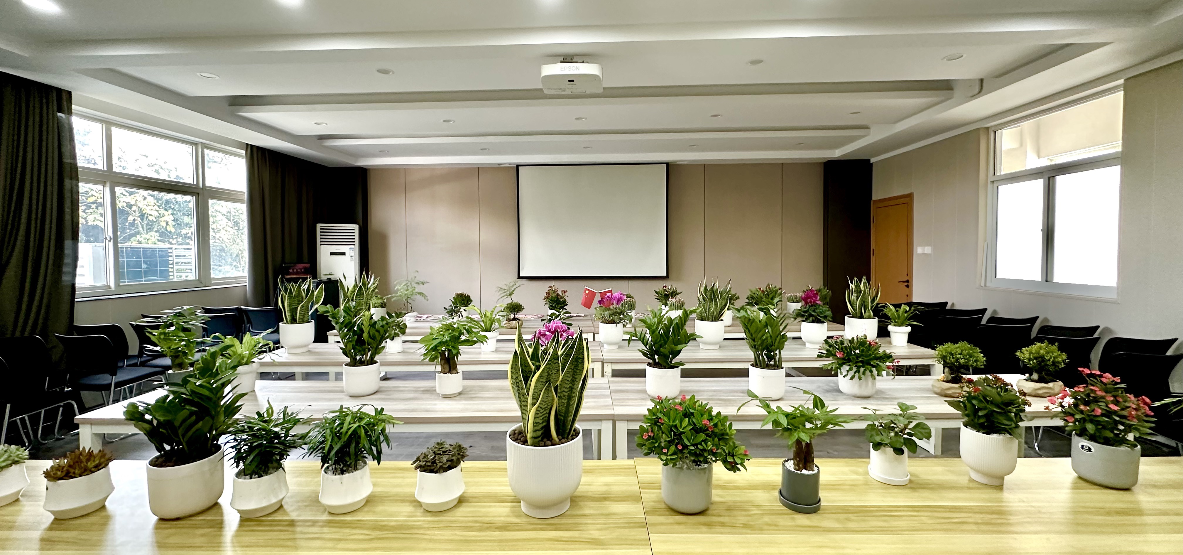 绿植.png 绿植.png