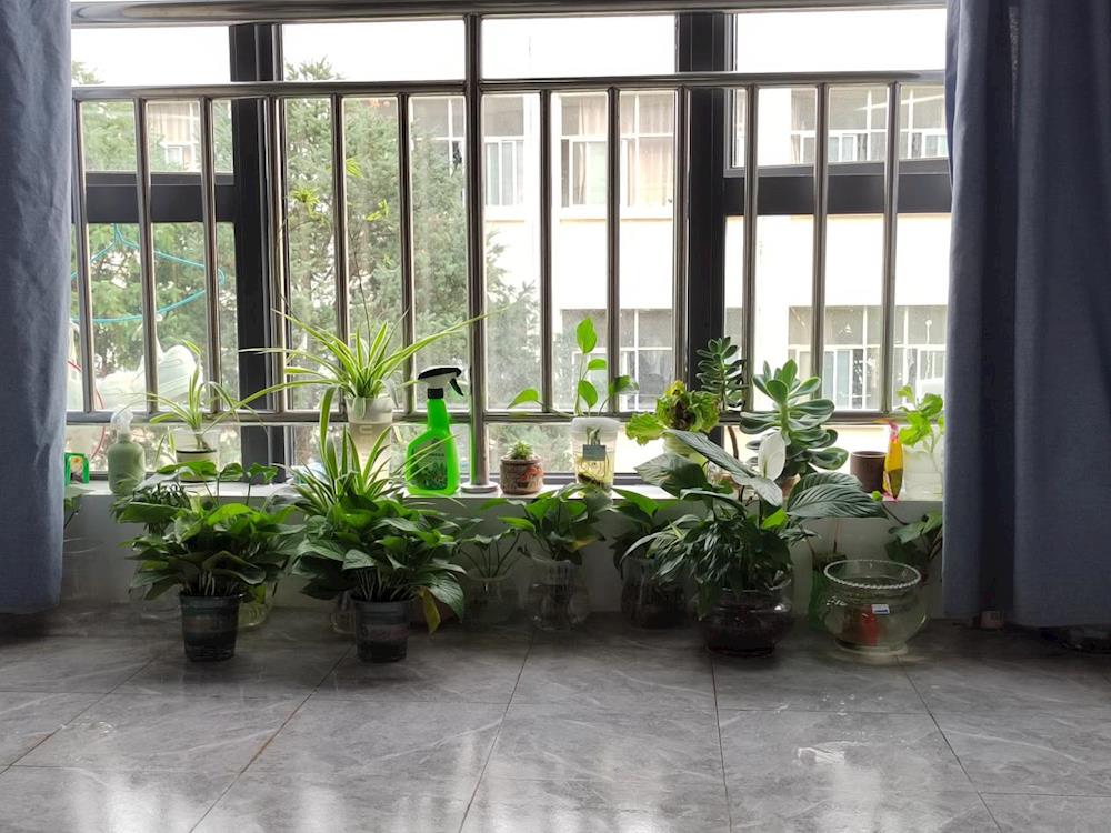 520e613bdfe1407abc46856e90ae9aaf.Jpeg 520e613bdfe1407abc46856e90ae9aaf.Jpeg