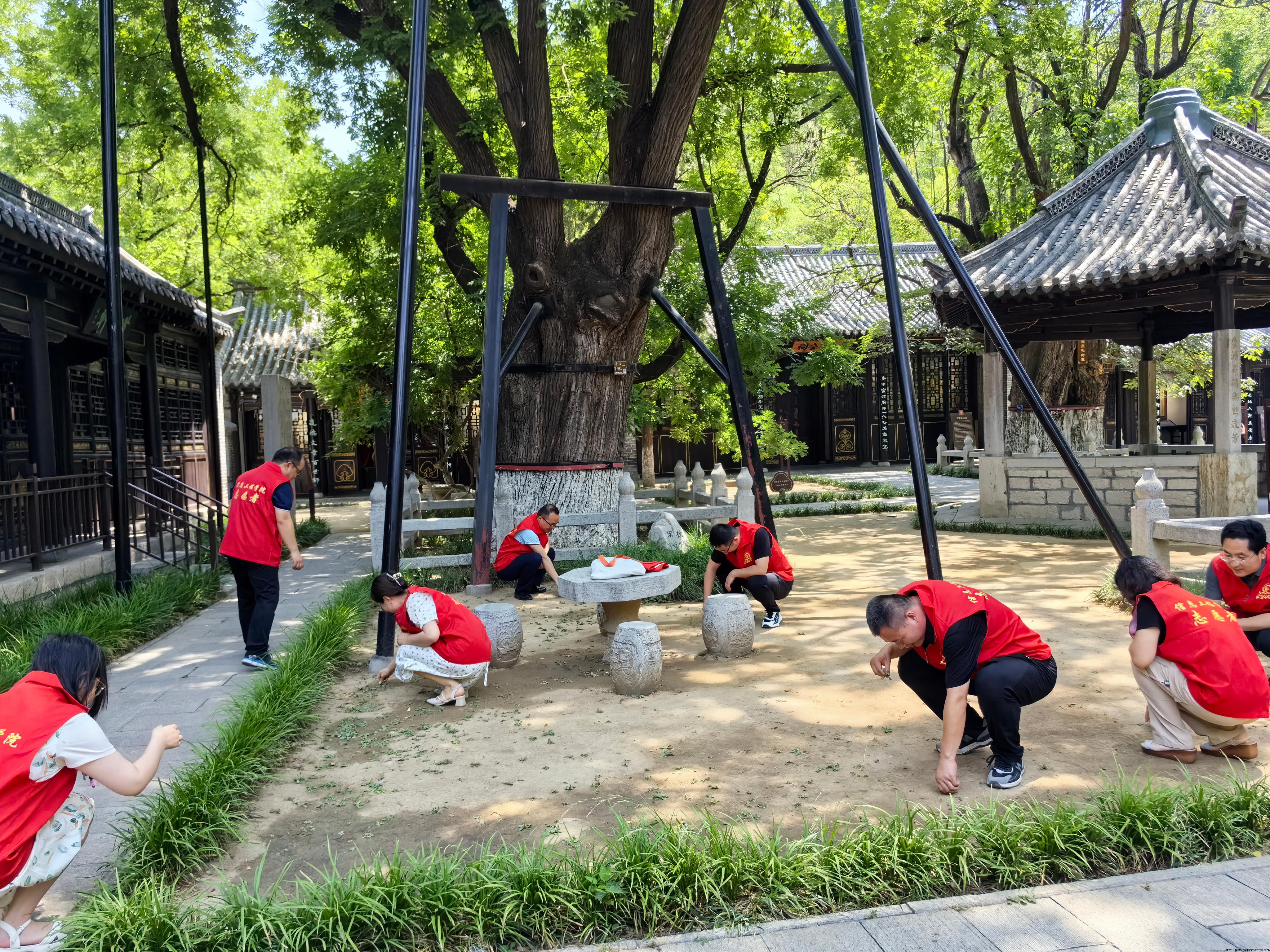 志愿服务.jpg 志愿服务.jpg