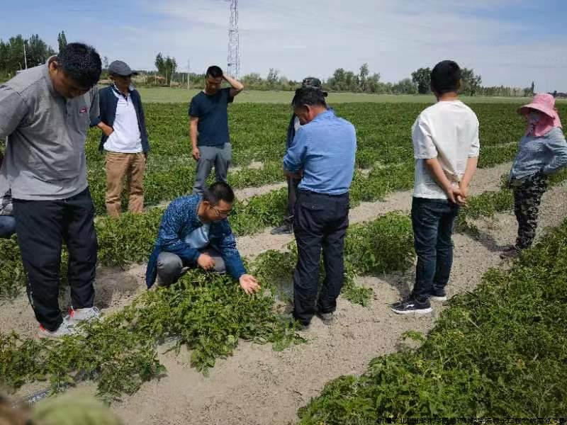 图片2.png 图片2.png