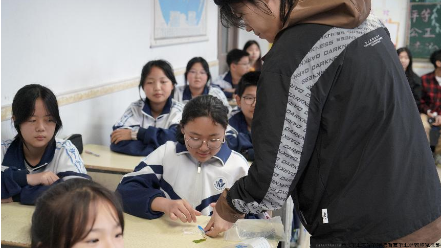 图片5.png 图片5.png