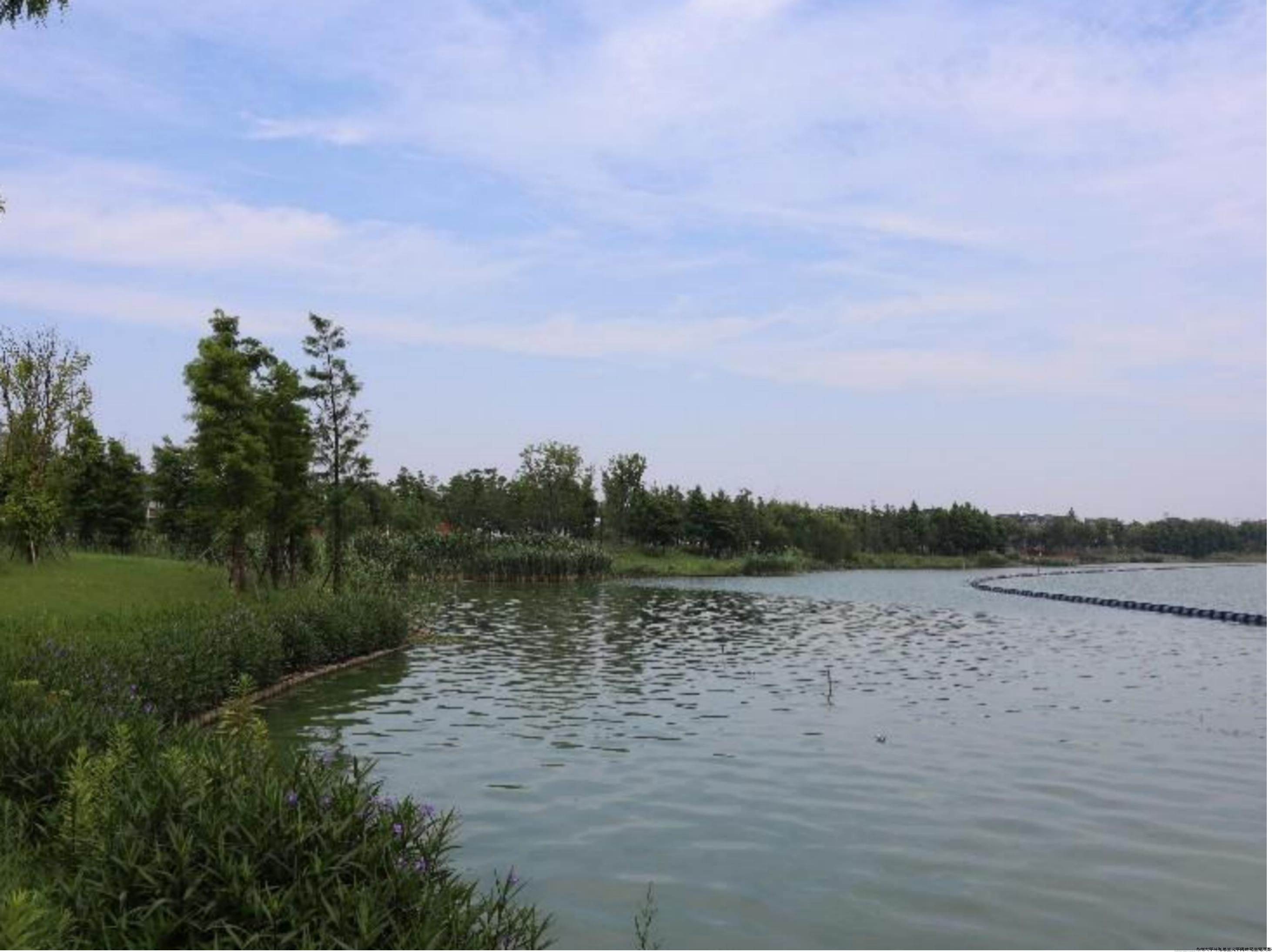 图片61.jpg 图片61.jpg