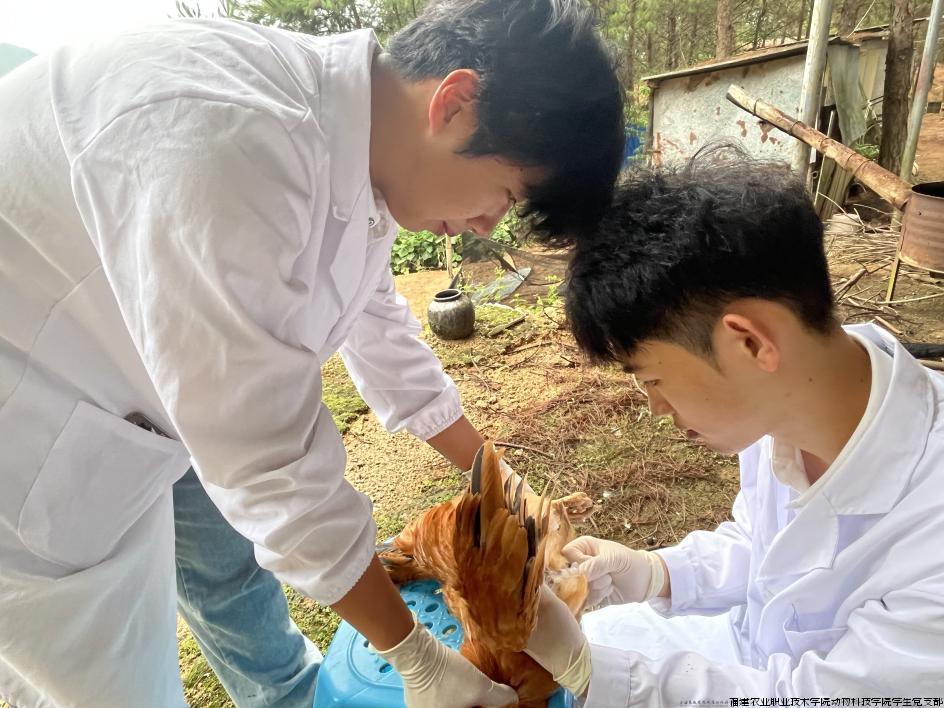 图片1.jpg 图片1.jpg