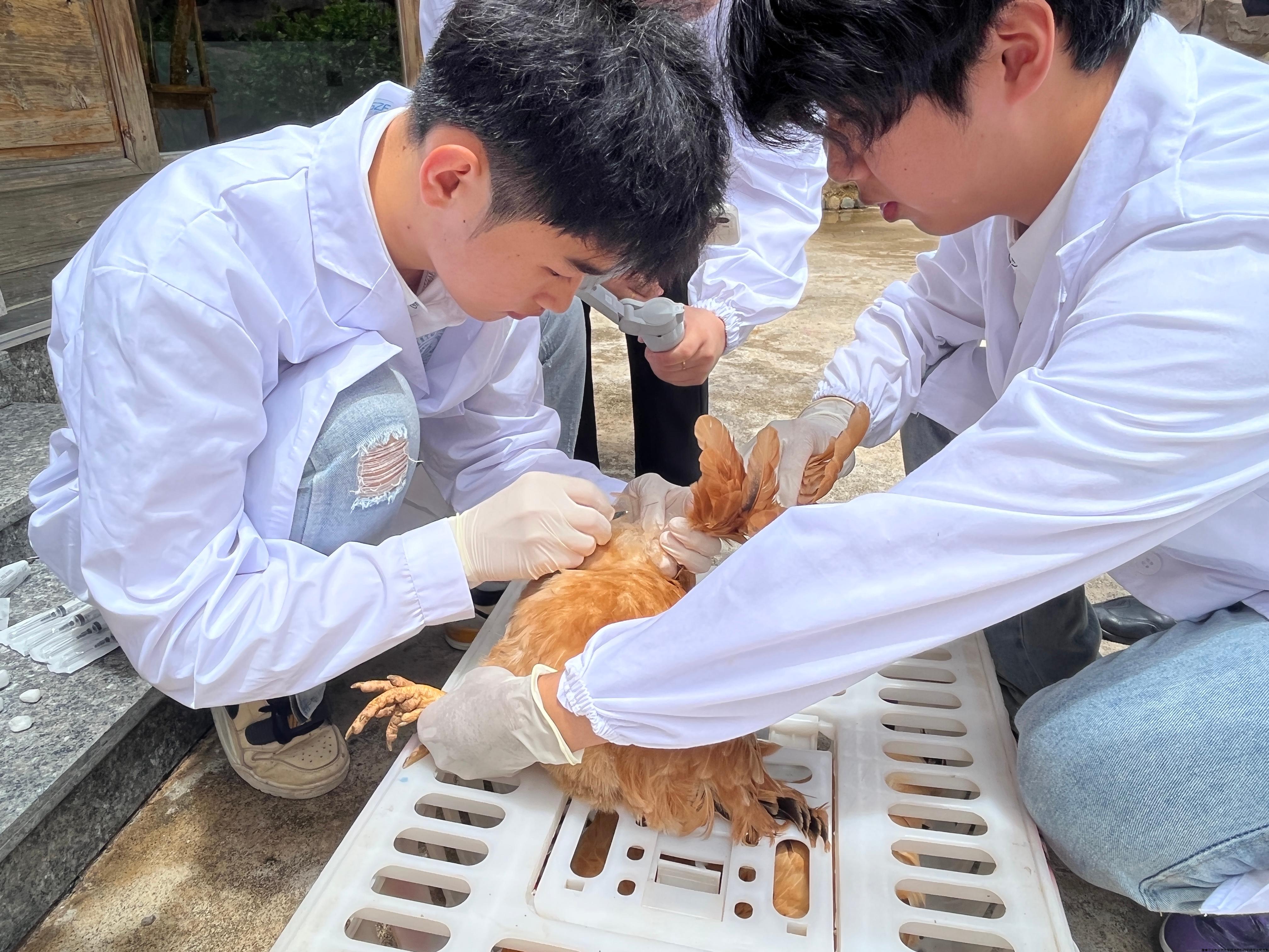 图片2.jpg 图片2.jpg