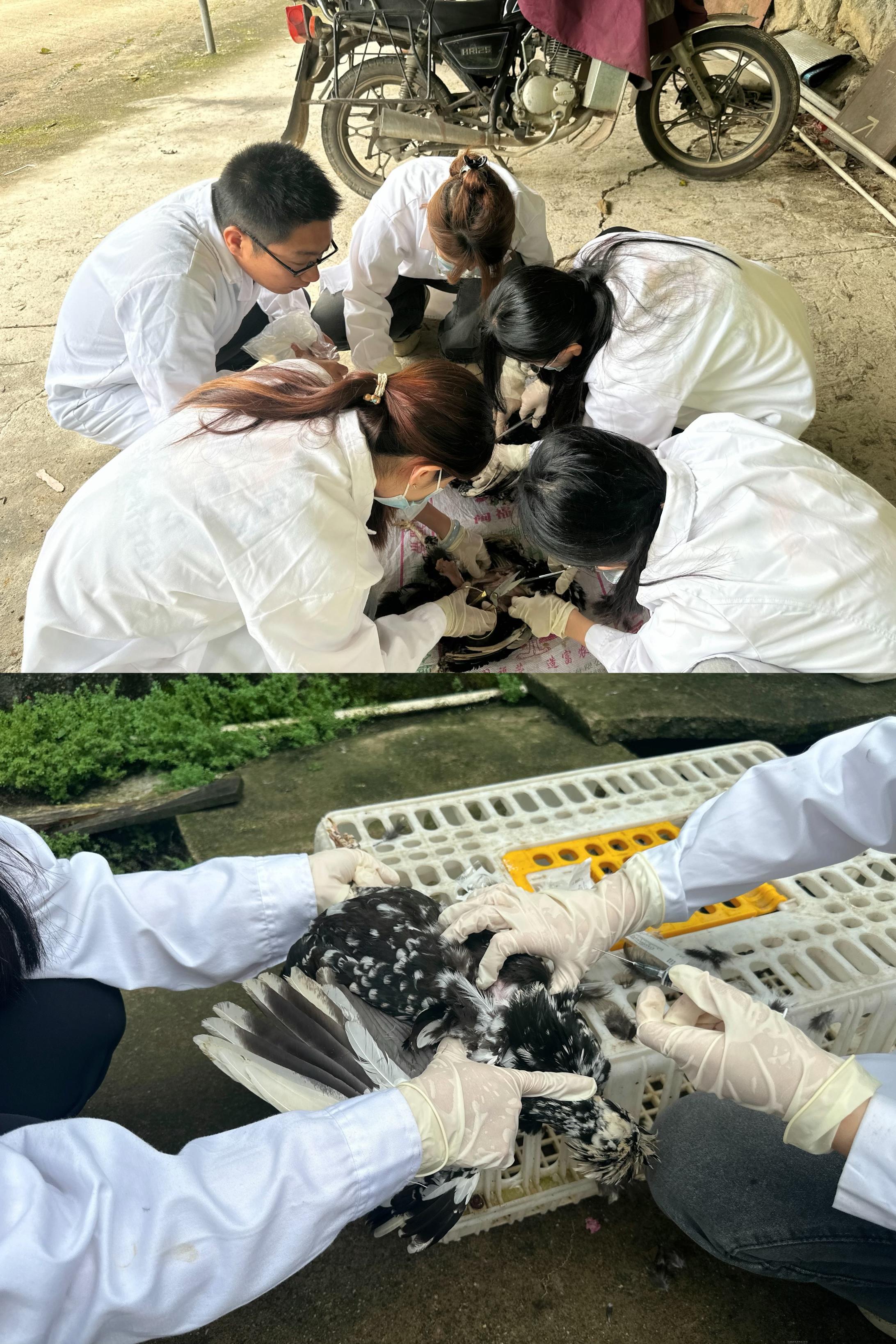 图片3.jpg 图片3.jpg