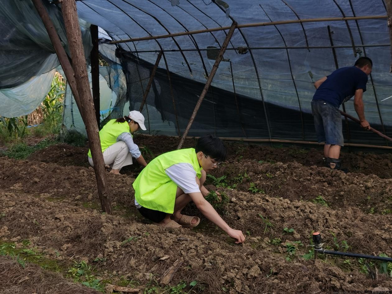 图片4.jpg 图片4.jpg