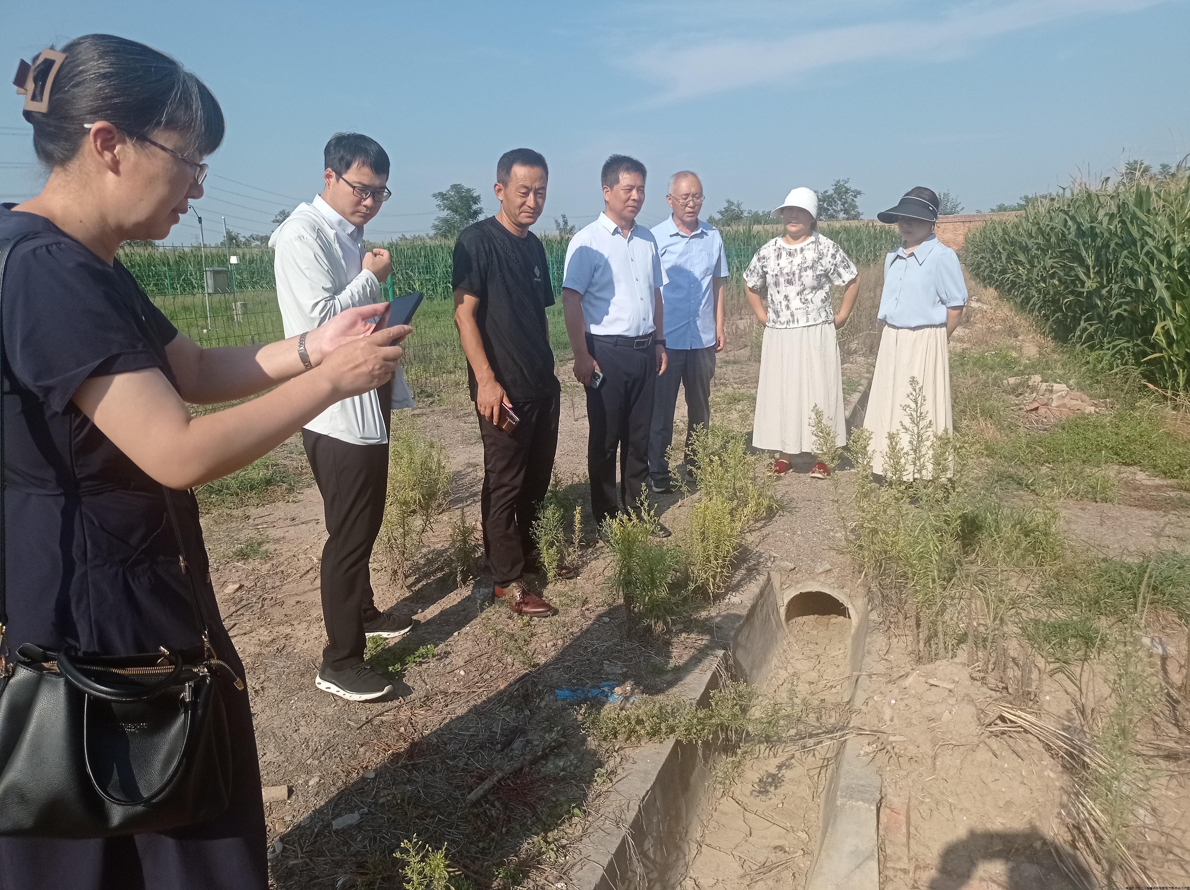 IMG_20240814_164259.jpg IMG_20240814_164259.jpg